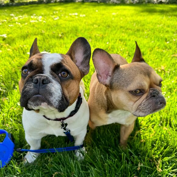 Meet your Posher, Angella - Picture 8 of 15